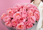 Купить Букет из 25 пионовидных розовых роз 50 см Pink Expression в  с бесплатной доставкой: цена, фото, описание